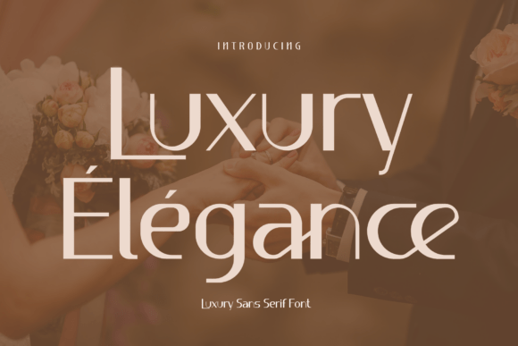 Luxury Élégance: A Premium Sans Serif Font for Web Design